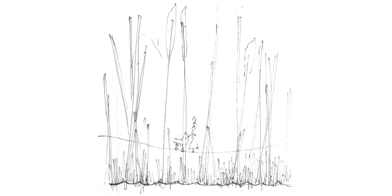 Rochester_Concept_Sketch.jpg