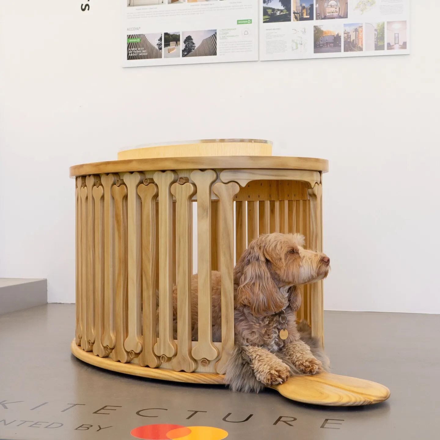 We are delighted to announce that our competition entry BONEHENGE has won the 2022 Goodwoof Barkitecture against a very strong field of entries by prominent architects.

The competition and our winning design are featured in the Architects' Journal, 