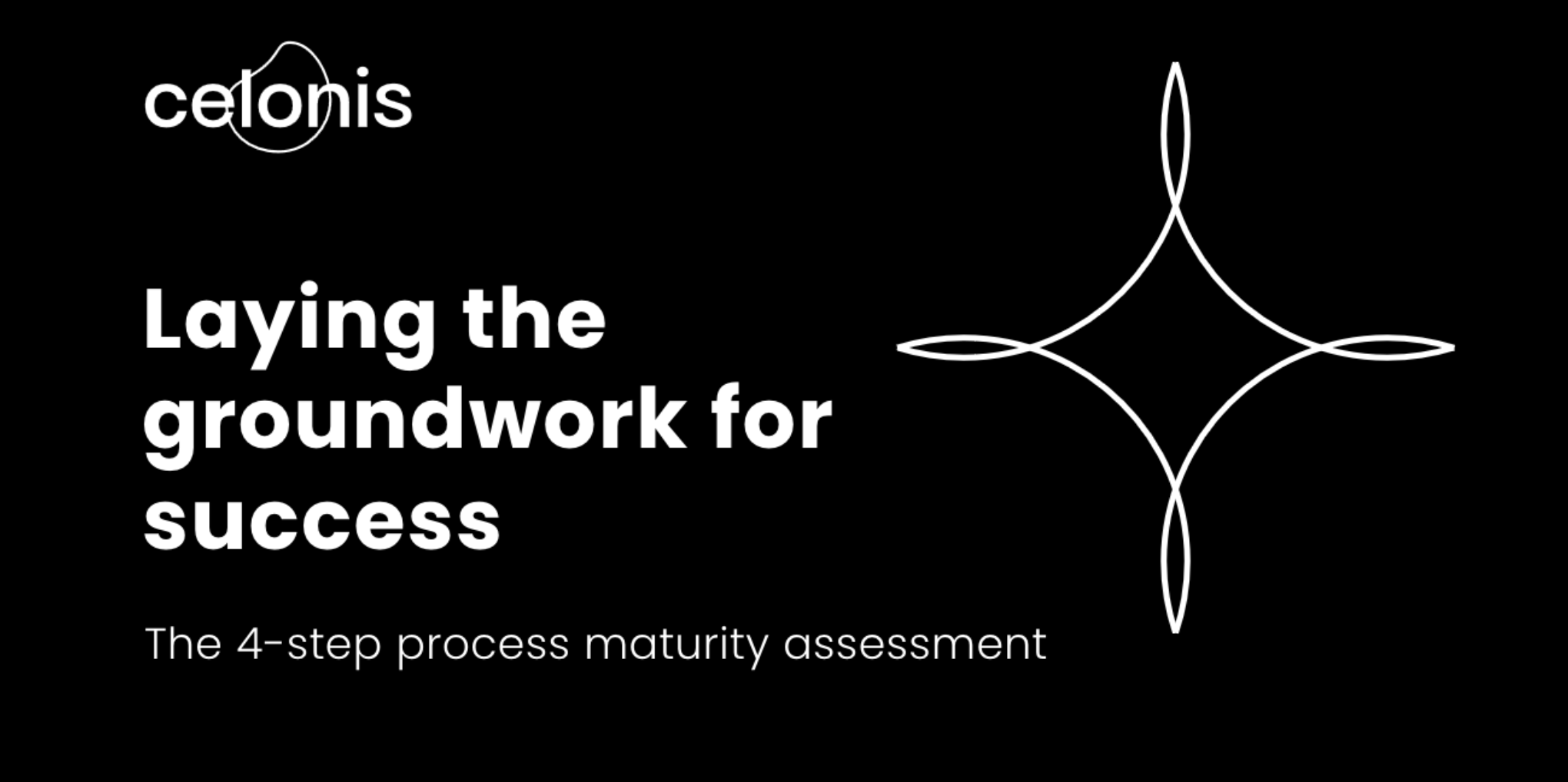 The 4-step process maturity assessment
