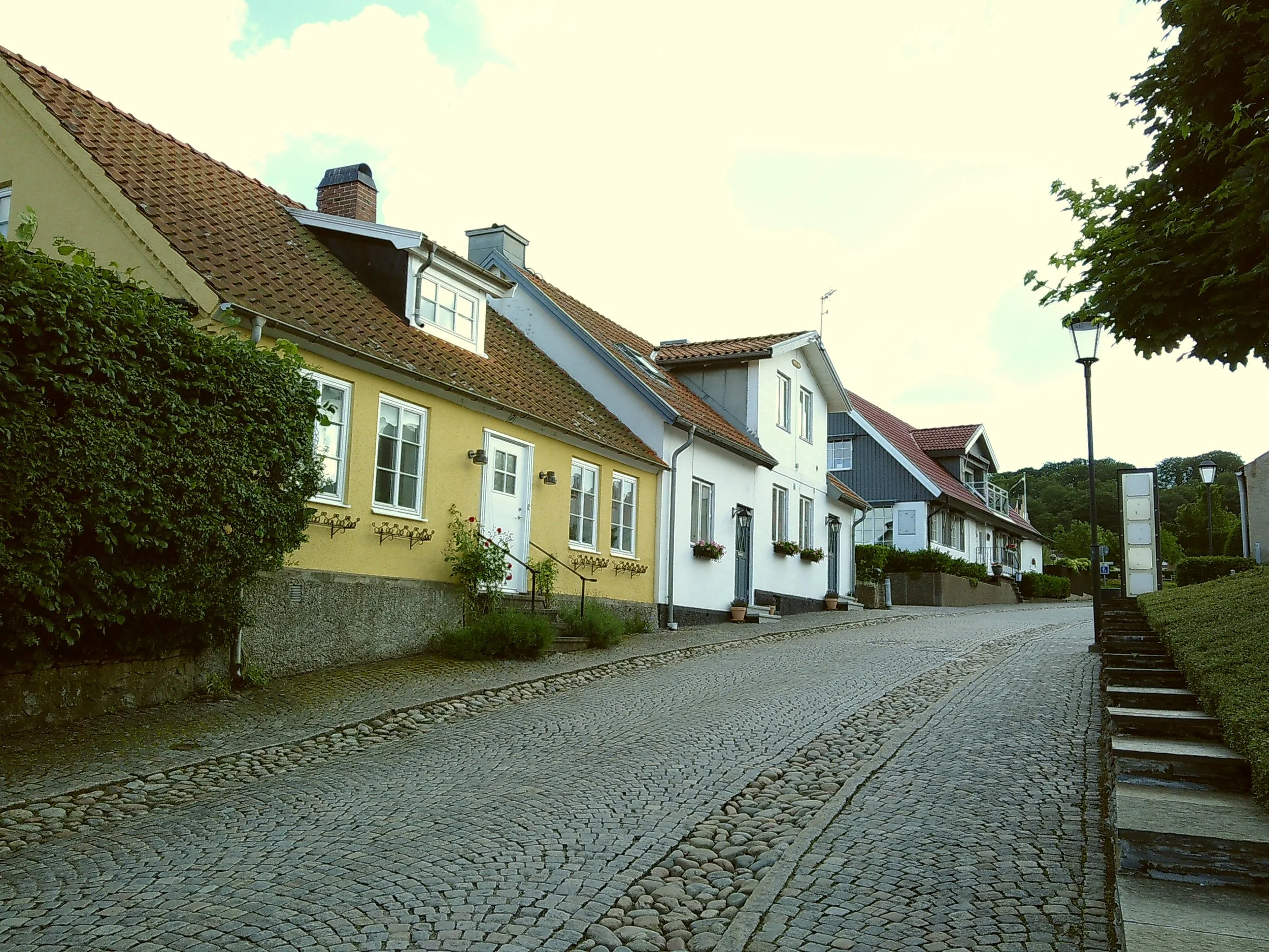SUNP0186.JPG