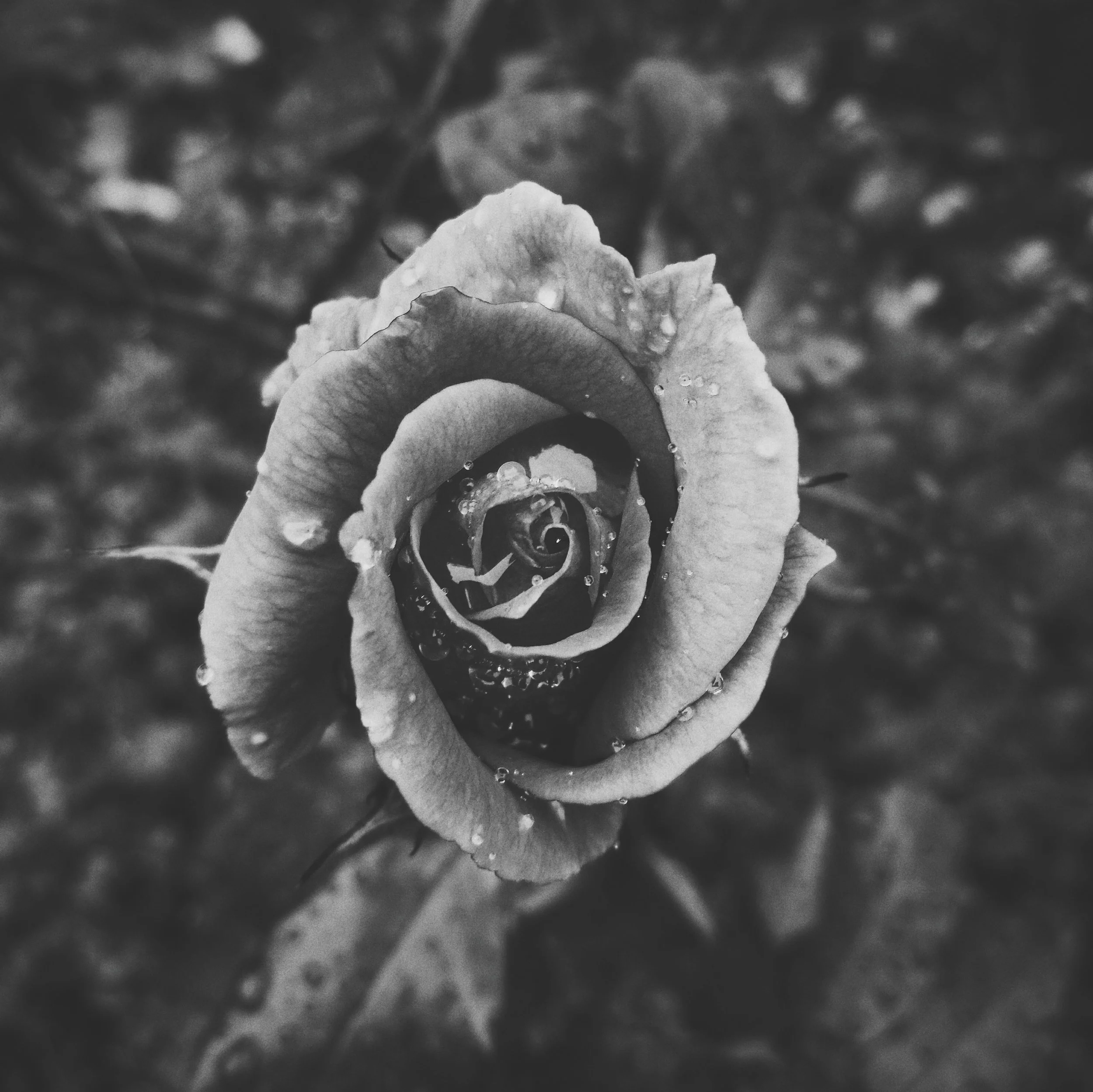 2018-10-14 04.37.19 2.jpg