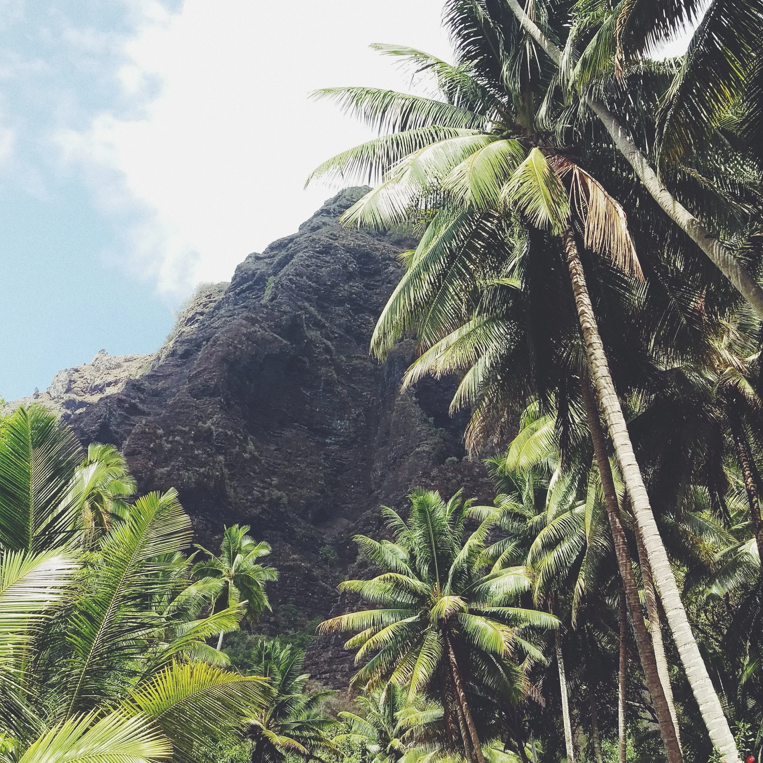 2018-05-08 07.12.08 2.jpg