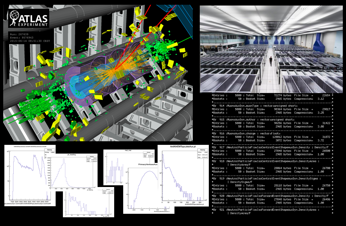 BFLDS_Complex_Data.png