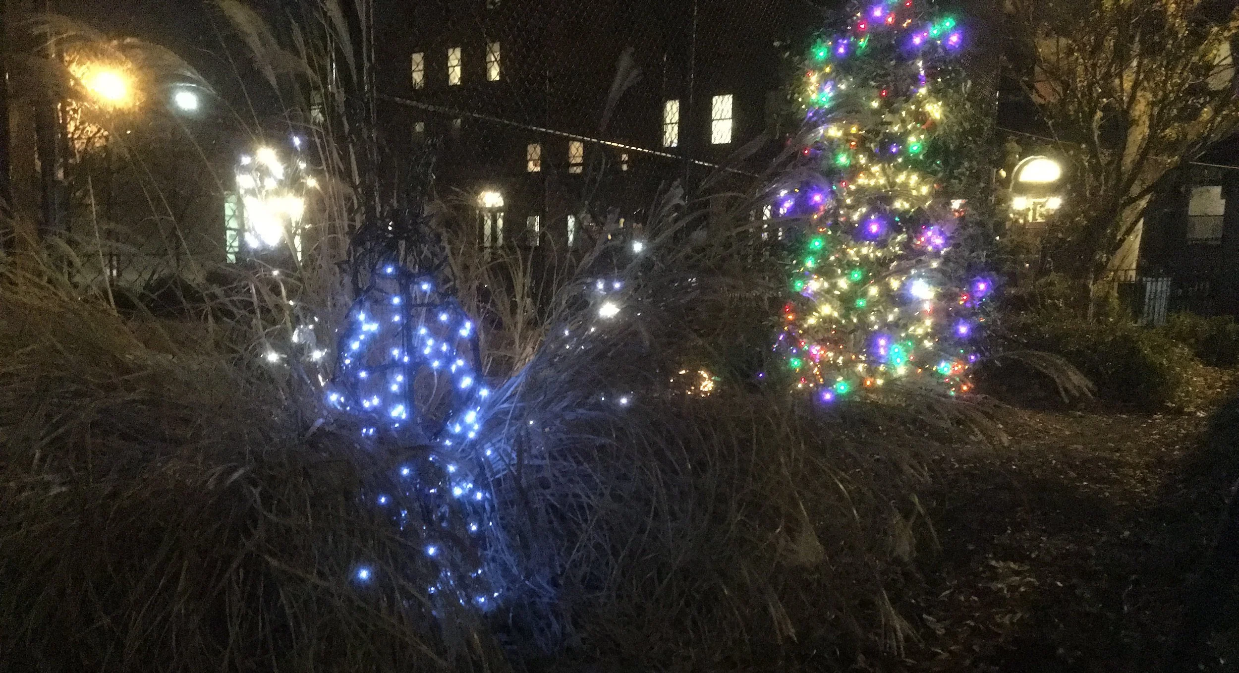 Holiday Tree Lighting