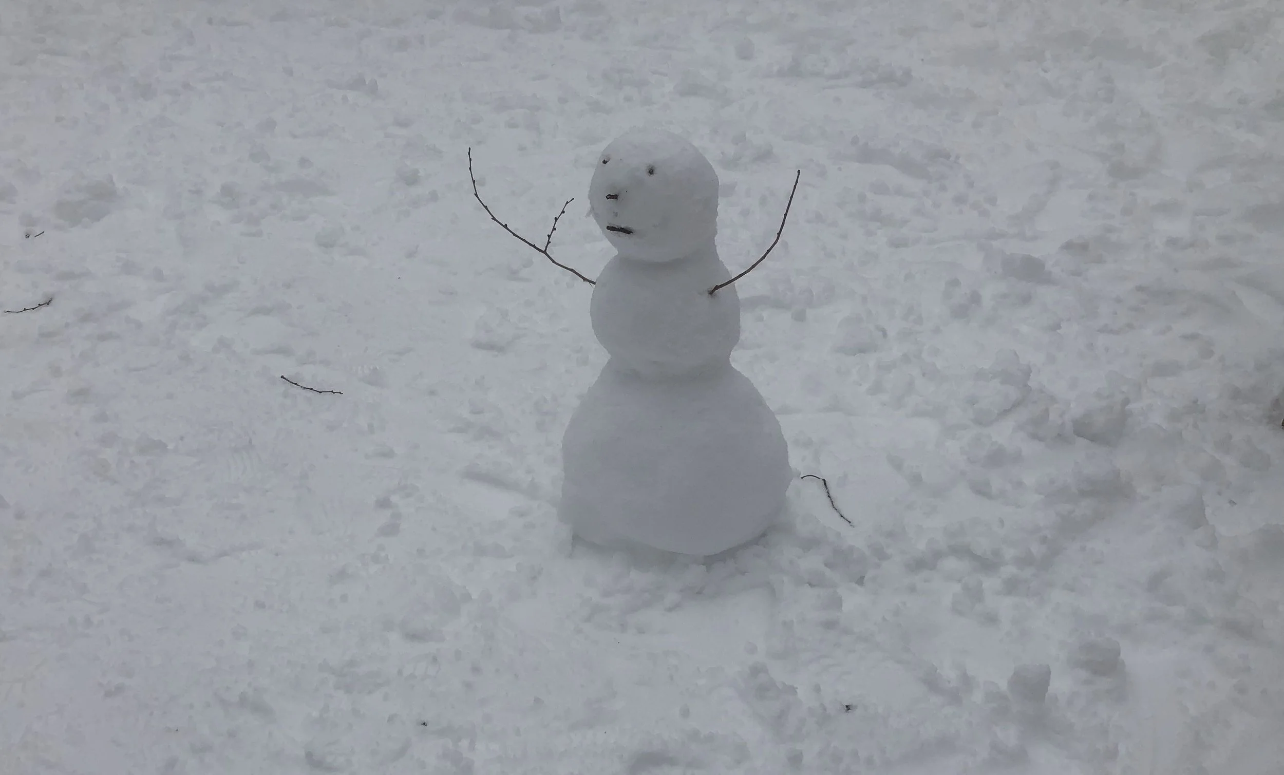 2021-02-01 14.40.06.jpg