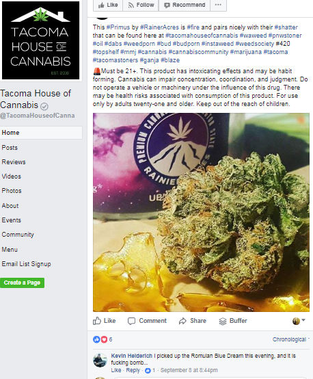 Tacoma Business Writer || Tacoma Dispensary Marketing || Cannabis Marketing 