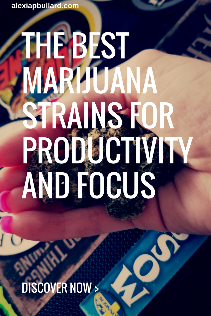 This list of the best marijuana strains for productivity and focus is sure to help you get more work done, so you can grow your brand and get more sales. || Booklexia Content Marketing, cannabis content marketing, cannabis marketing, cannabis writer
