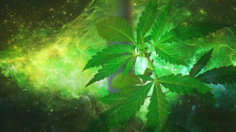 best ways to market cannabis business online for free