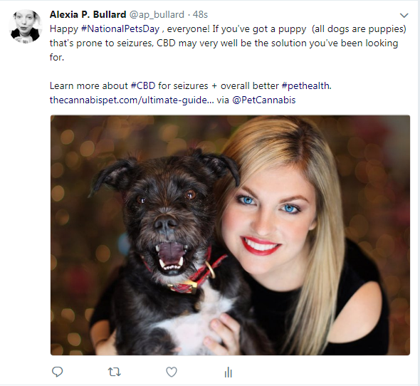 You can read the article about CBD for pets right here . 