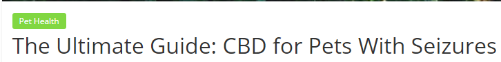 This headline promises to be the best guide possible on the subject of CBD for pets with seizures . This headline is specific, shows expertise, and shows clear value.