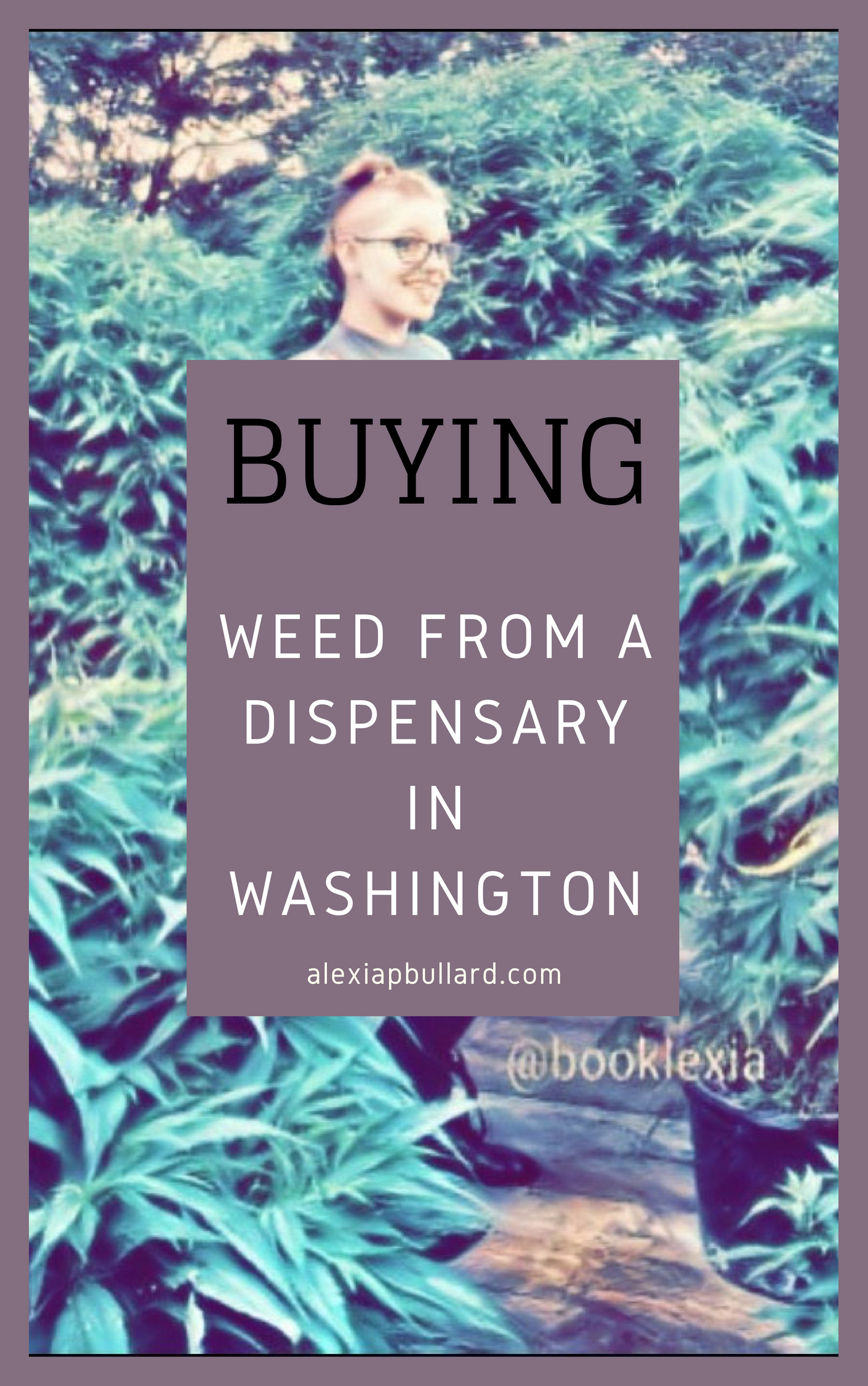 Buying Weed From a Dispensary in Washington || Booklexia Content Marketing