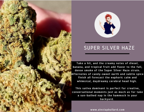 It's hard to find a strain that tastes more like summer than Super Silver Haze by Equinox. You've got tropical flavors, sweet and spicy flavors, and even some candy flavors in there. If this doesn't remind you of the Ice Cream Man, well...Smoke some more.