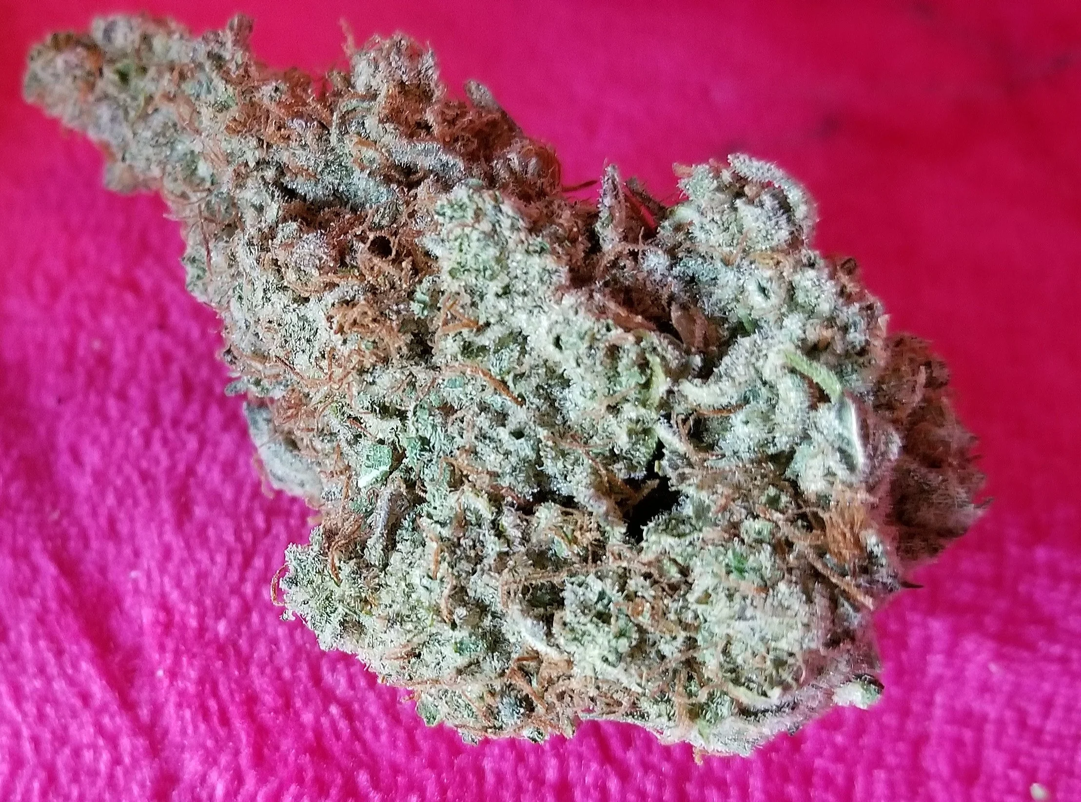 Sour Candy Kush (Marijuana Strain Review) | Booklexia Content Marketing , cannabis marketing