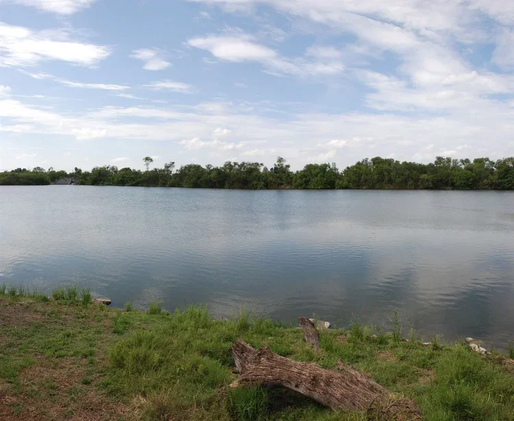 stxiff-birding-3.webp
