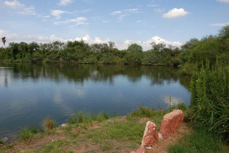 stxiff-birding-2.webp