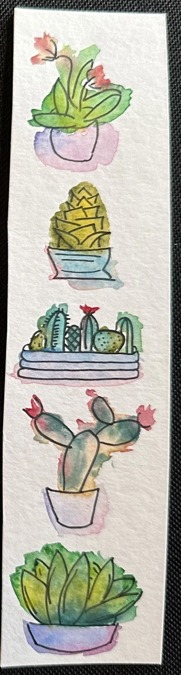 succulents.jpg