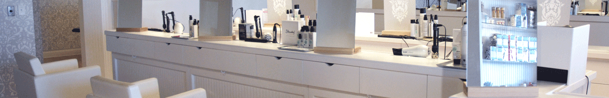 blowdry-page-header.png