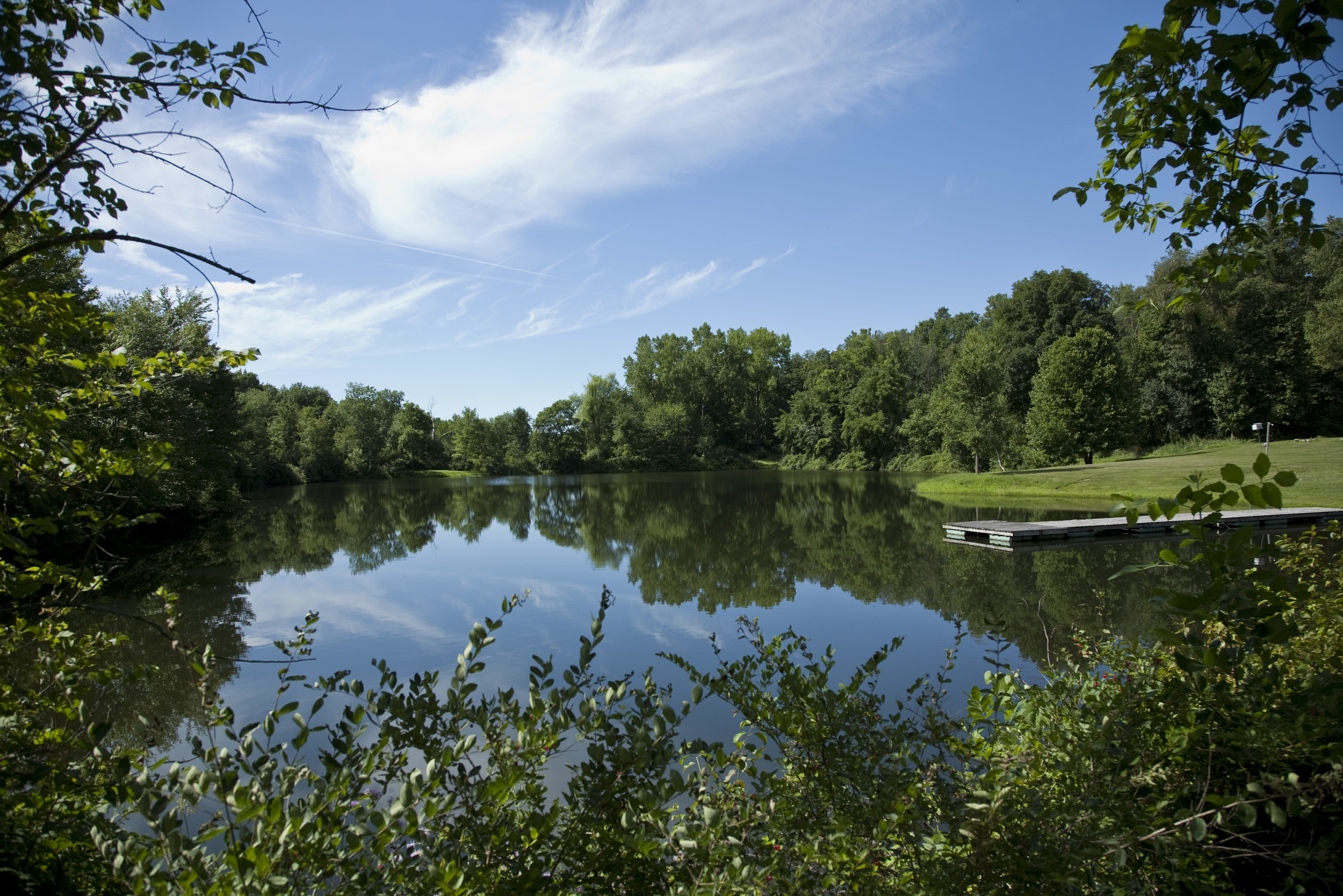  The Clinton pond. The pond is surrounded by trails which continue into the woods beyond. 