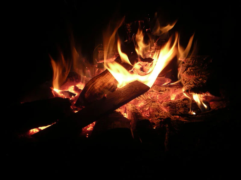 Meet the Alumni Council