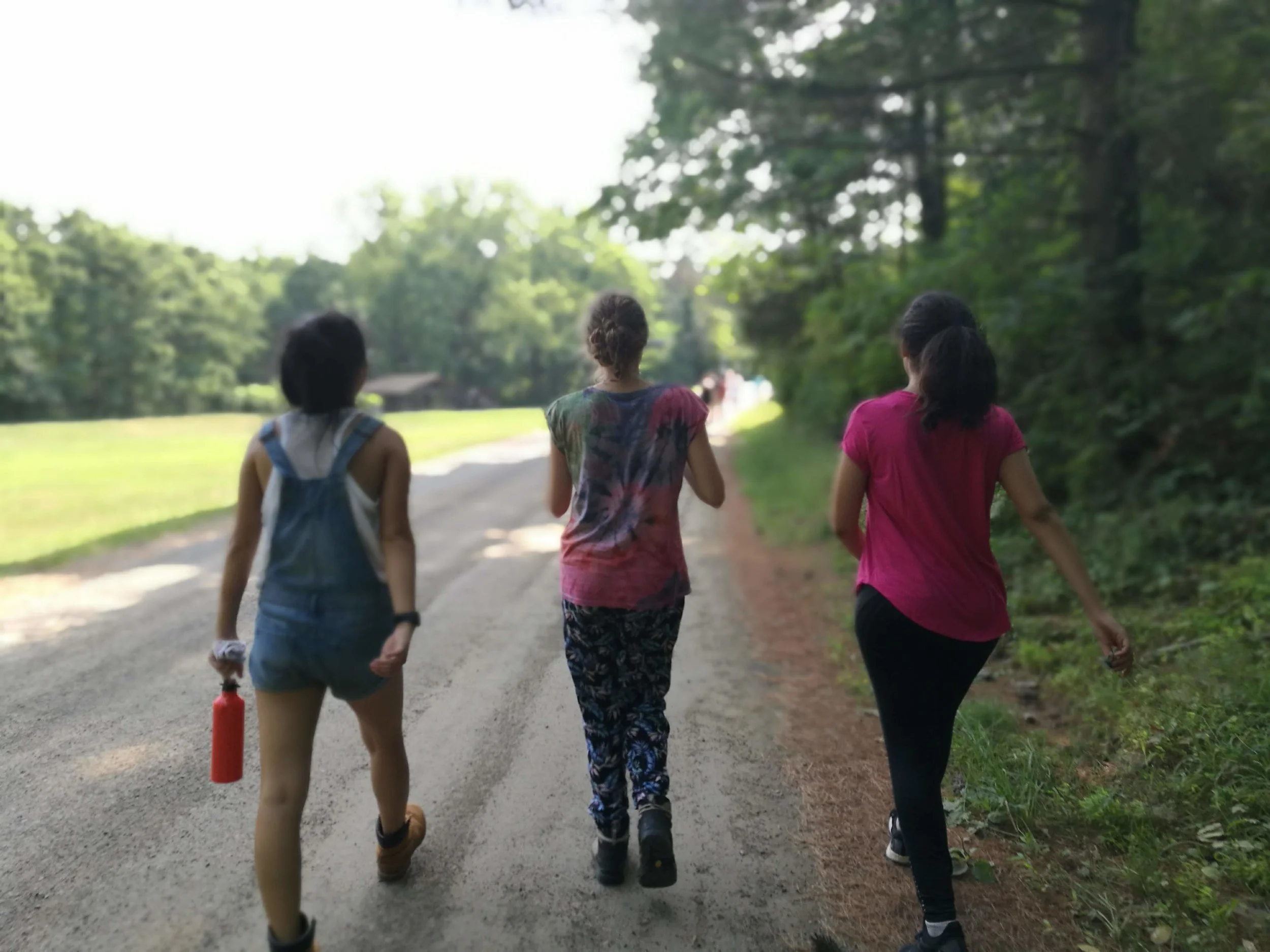 IMG_20180705_103719.jpg