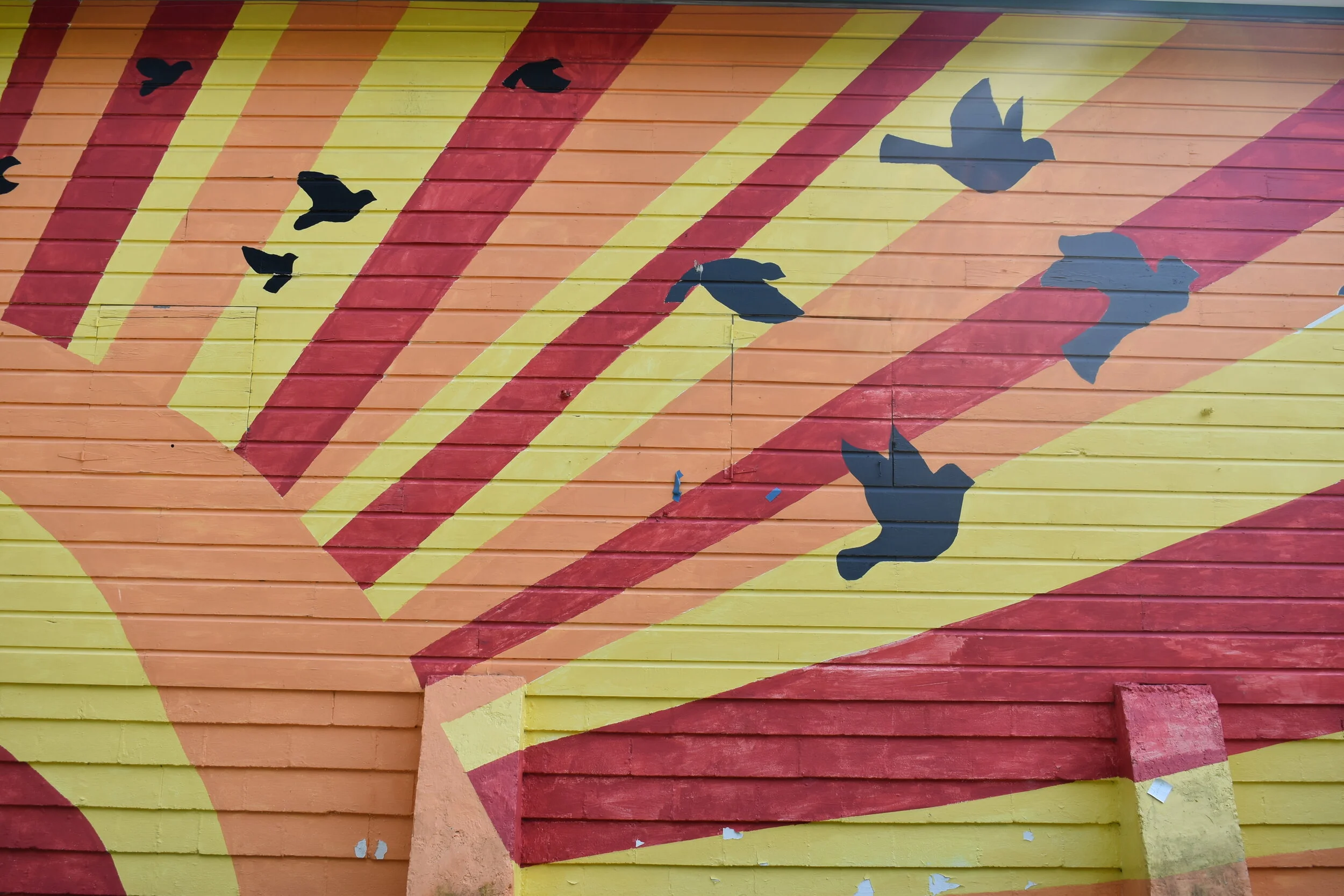 Curriculum in Focus V: Building Your Own Structure 