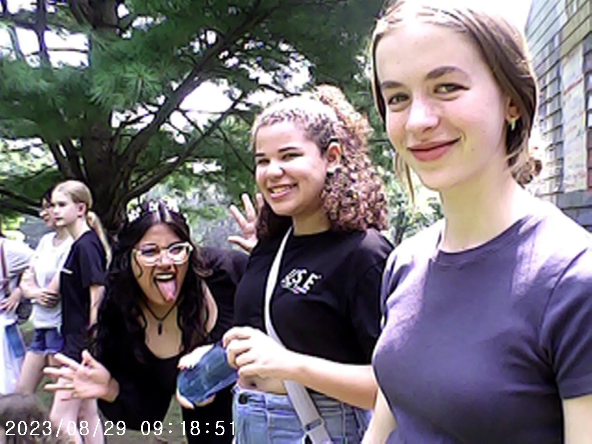 IMG00169.jpg