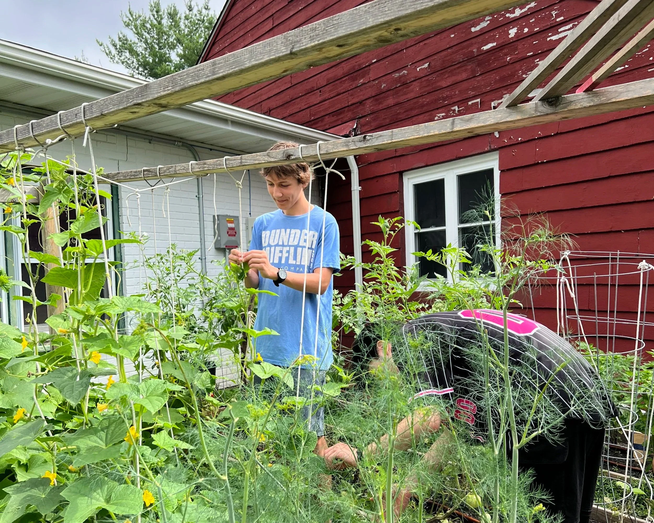Career &amp; Community Connections: Climate, Environment &amp; Sustainability
