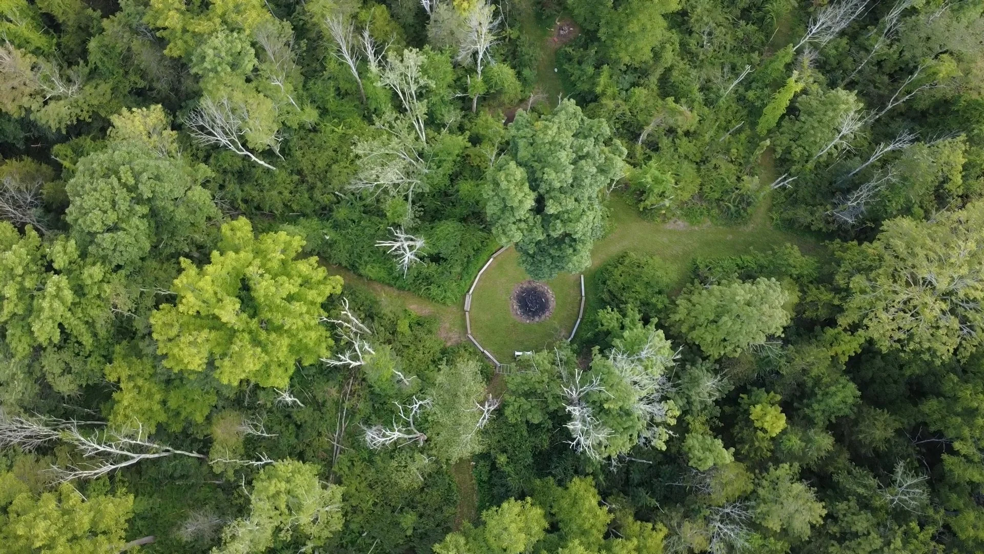 CRSDrone_1.13.1.jpg