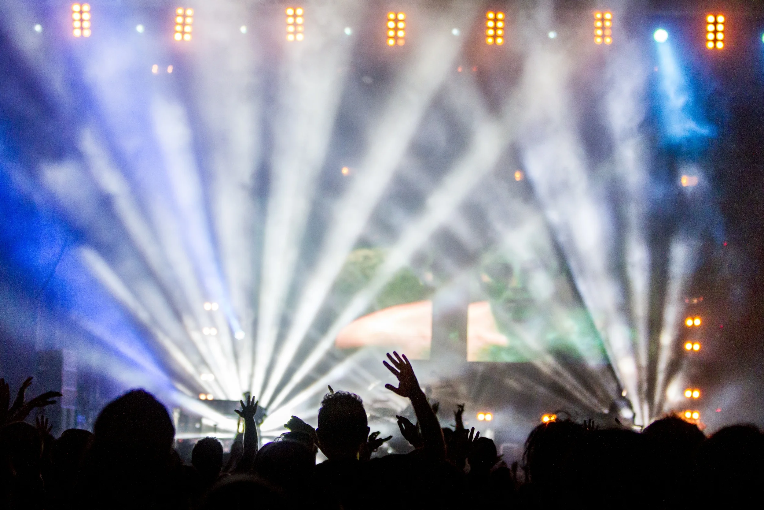unsplash_5252bb51404f8_1-2.jpg
