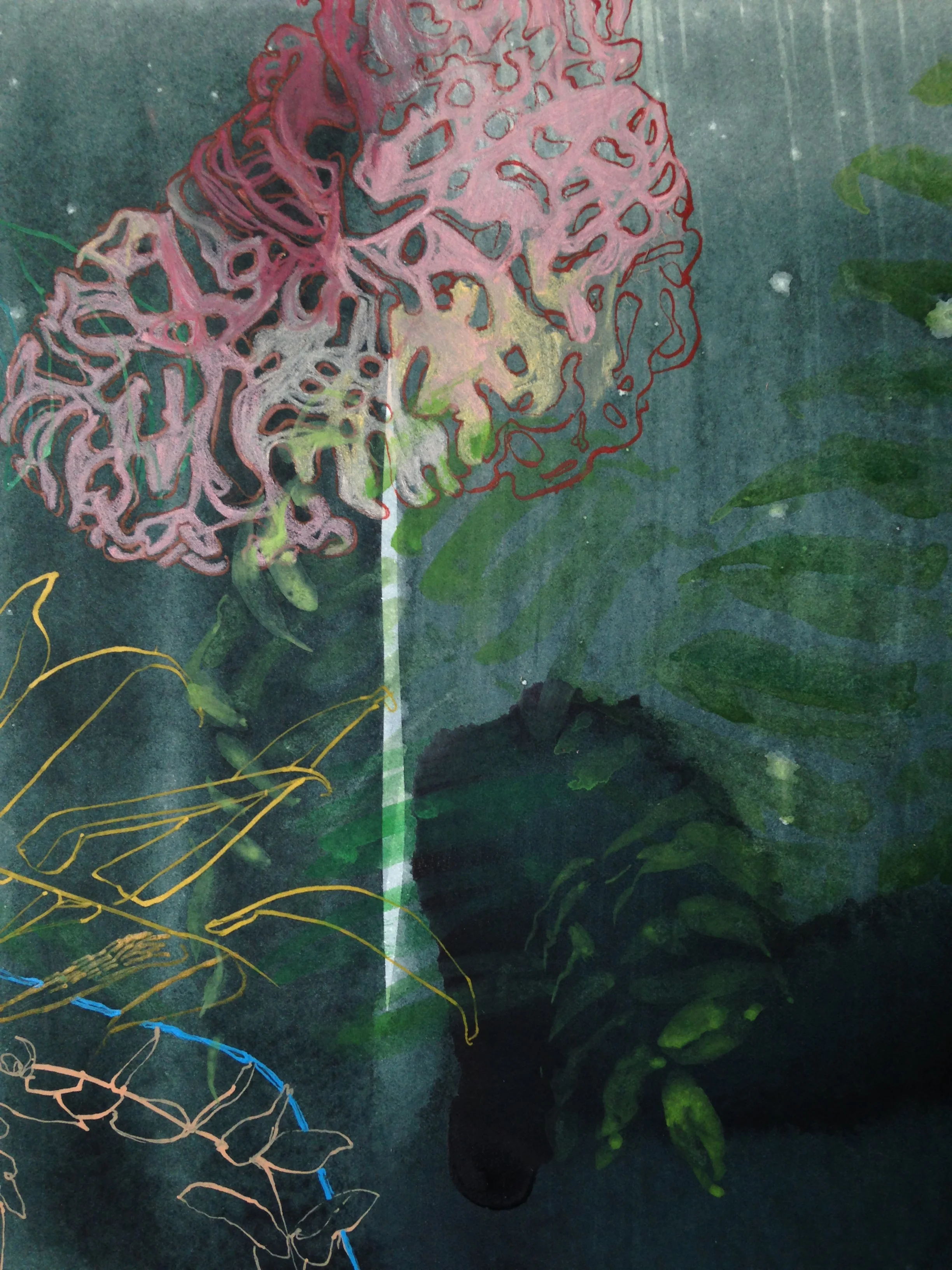 Pink Sponge (detail)