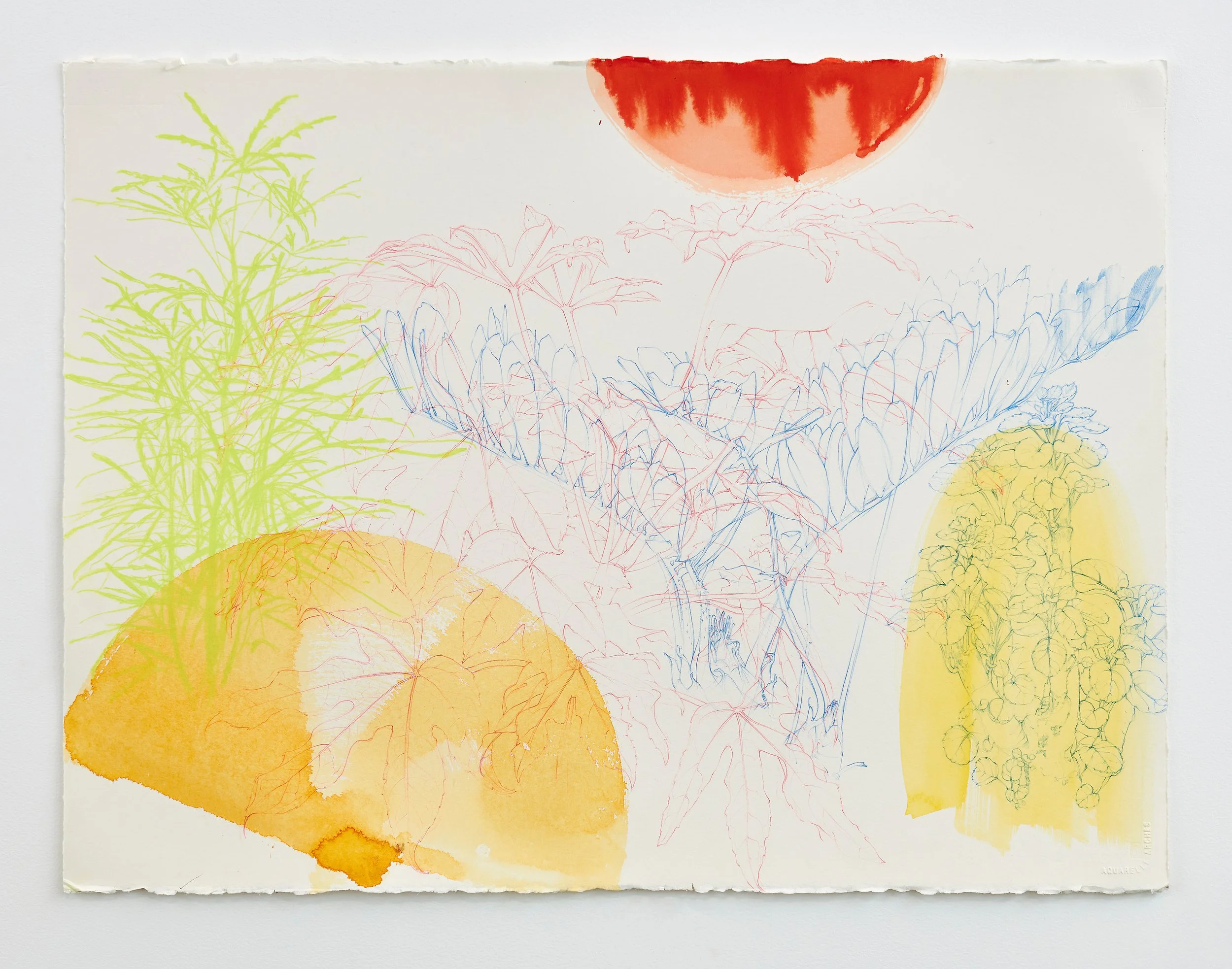 Under Which Light Do You Grow?