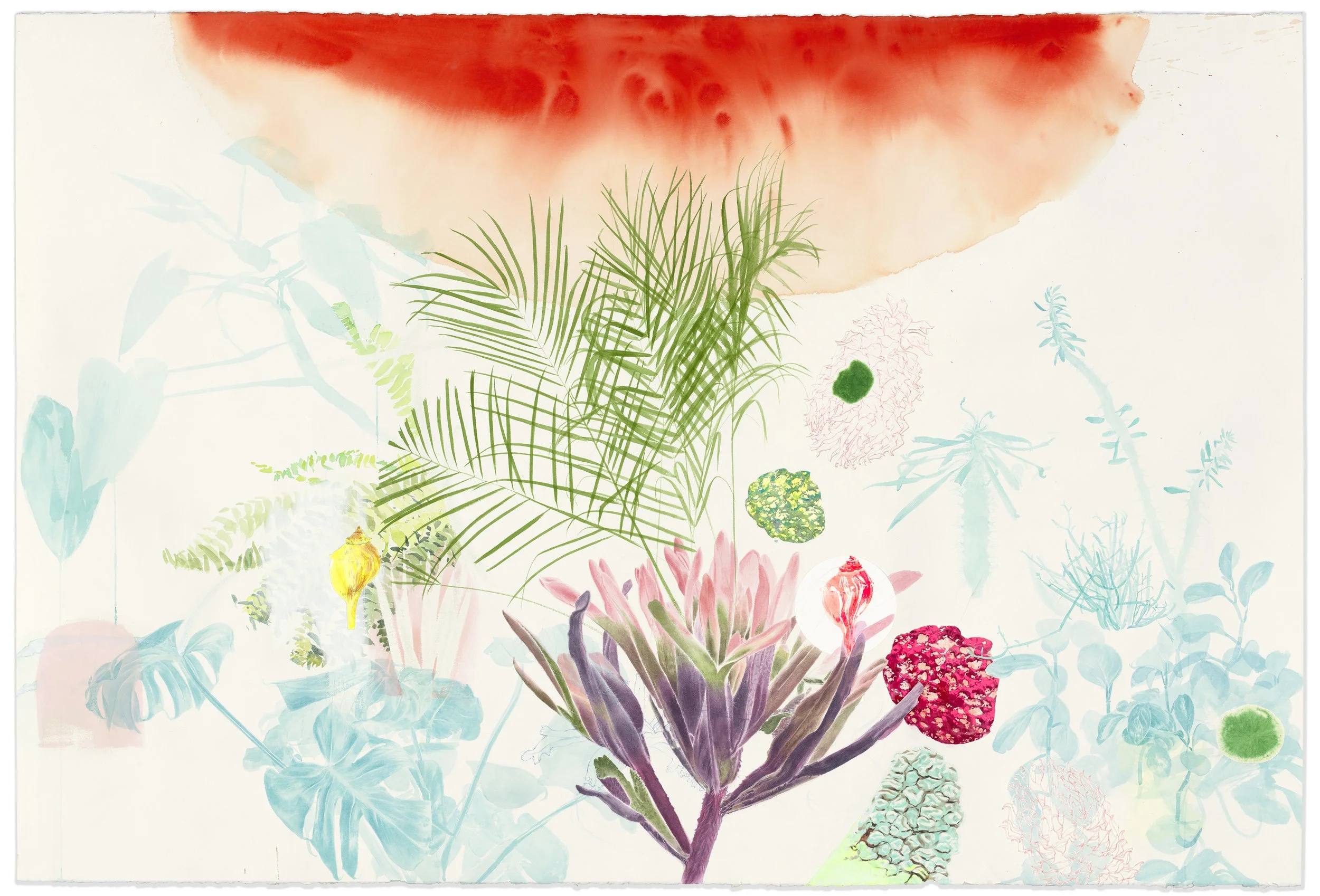  Grow Towards the Red Light 
watercolor and ink on paper, 45 x 66 in, 2025