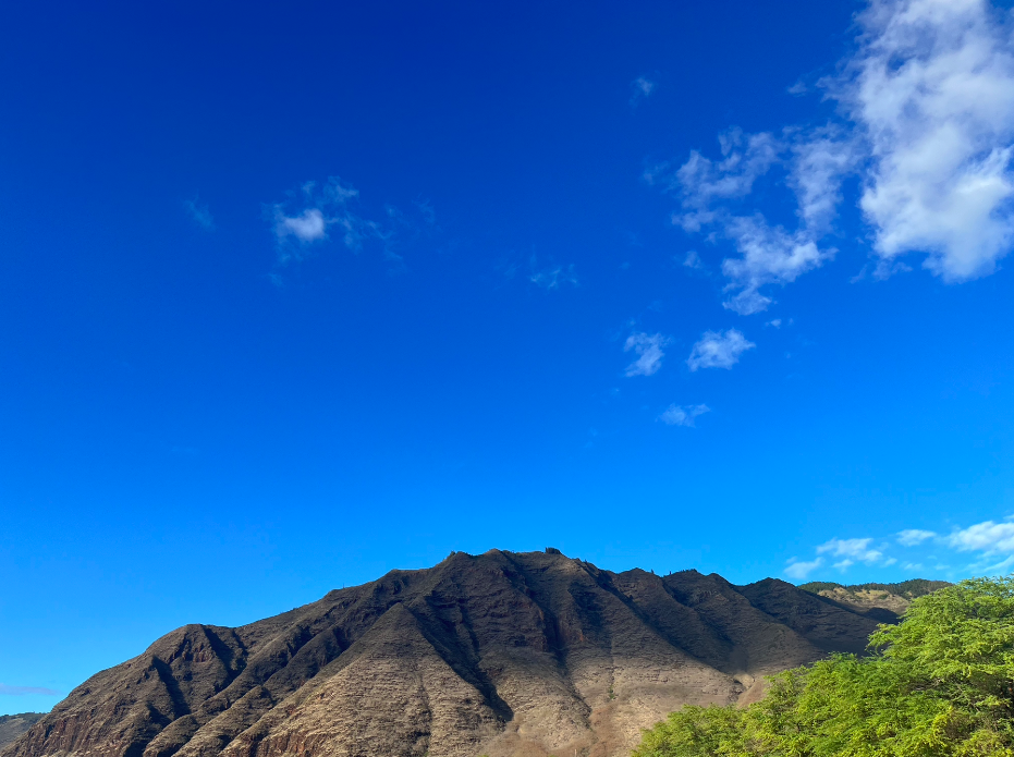 Screen Shot 2022-01-10 at 6.29.58 PM.png