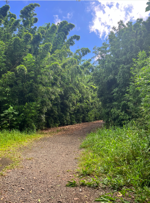 Screen Shot 2022-01-10 at 6.29.26 PM.png