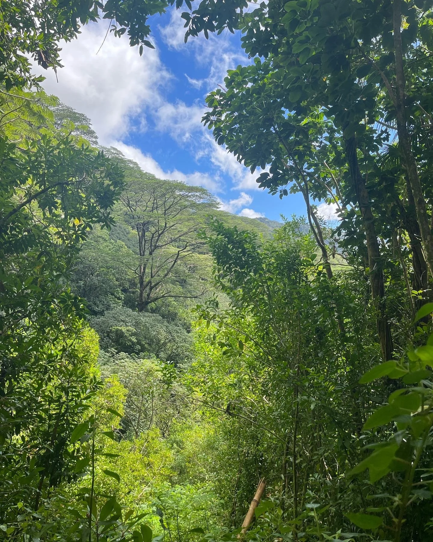 Meaningless! Everything is Meaningless! 