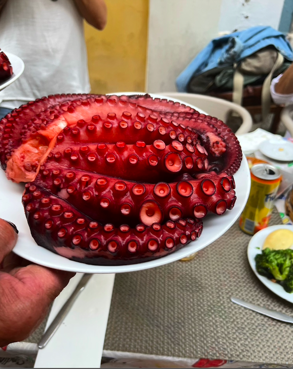 Screen Shot 2022-05-13 at 10.52.32 PM.png