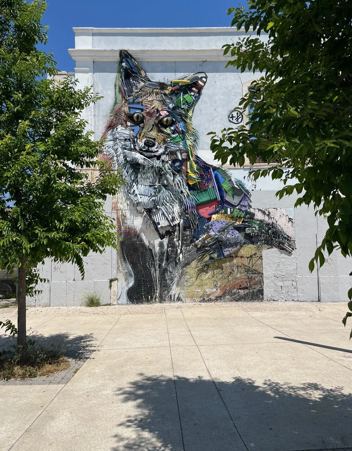 View recent photos 5.jpeg