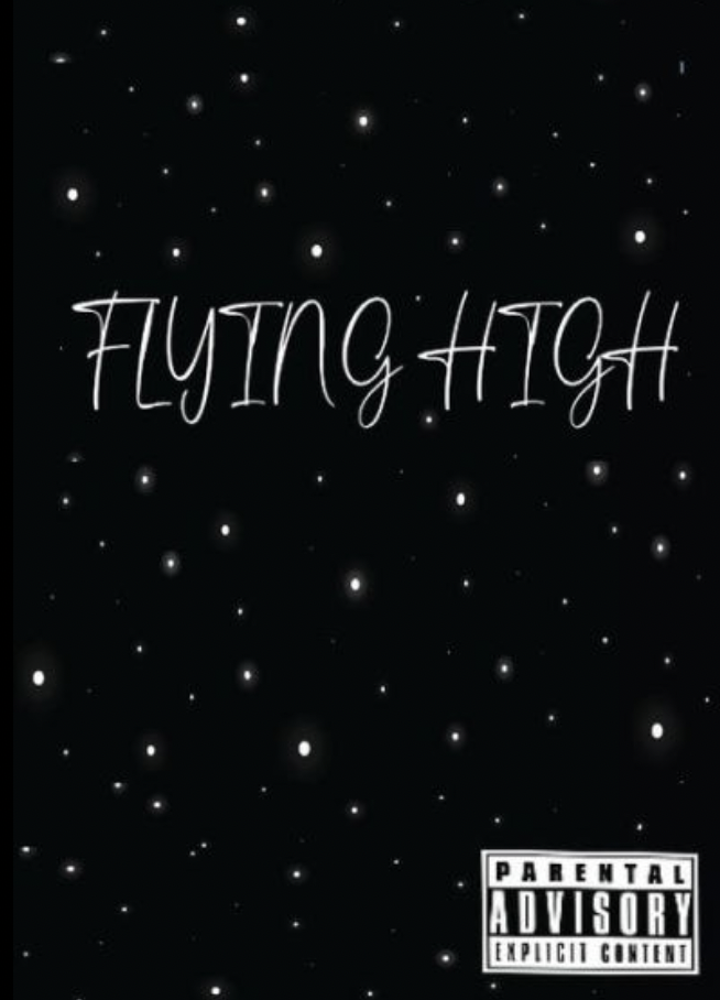 Flying High E-book