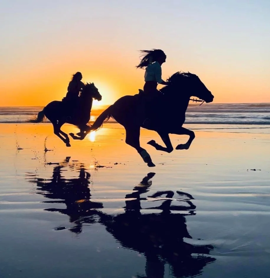 New Adventure Awaits 