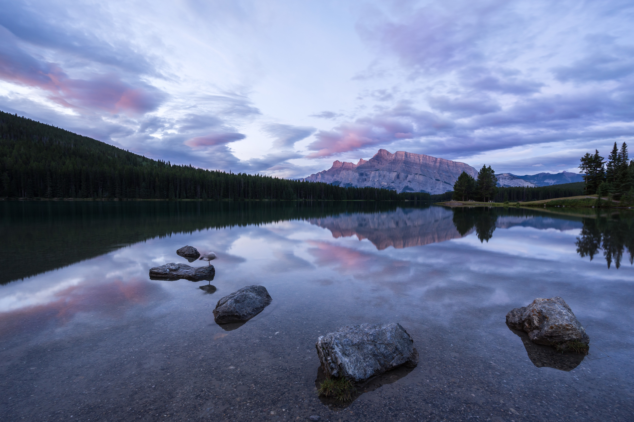 4. Catching a sunrise at Two Jack Lake: You can never go wrong with a sunrise session at Two Jack Lake. This spot offers tons of top-notch angles to photograph.
