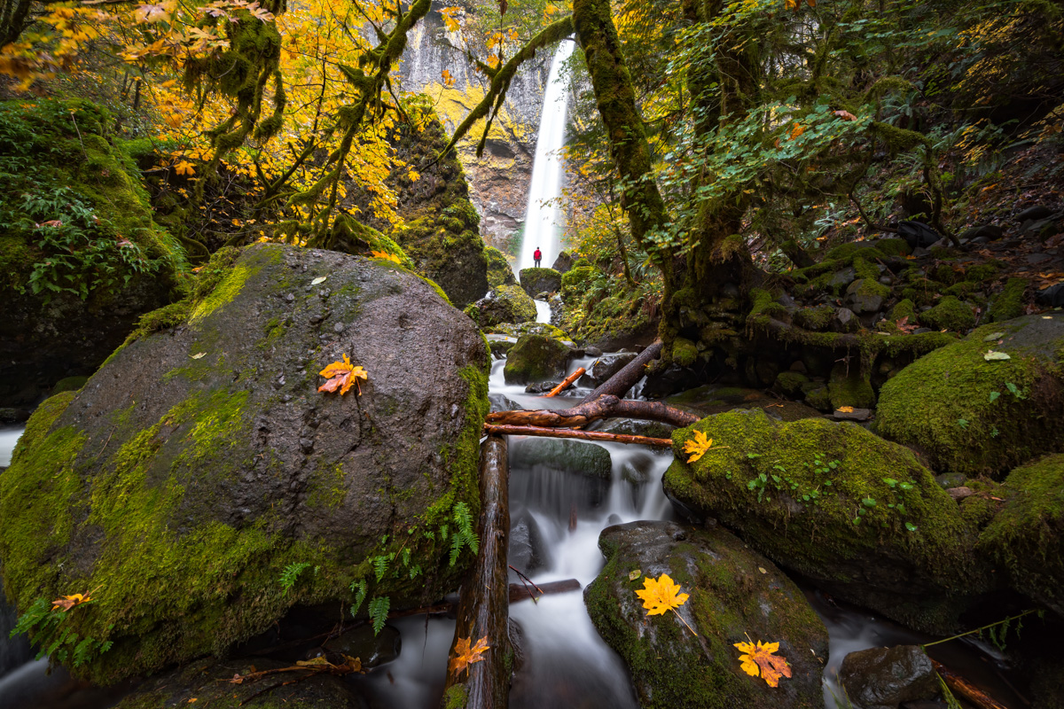 oregon fall.jpg