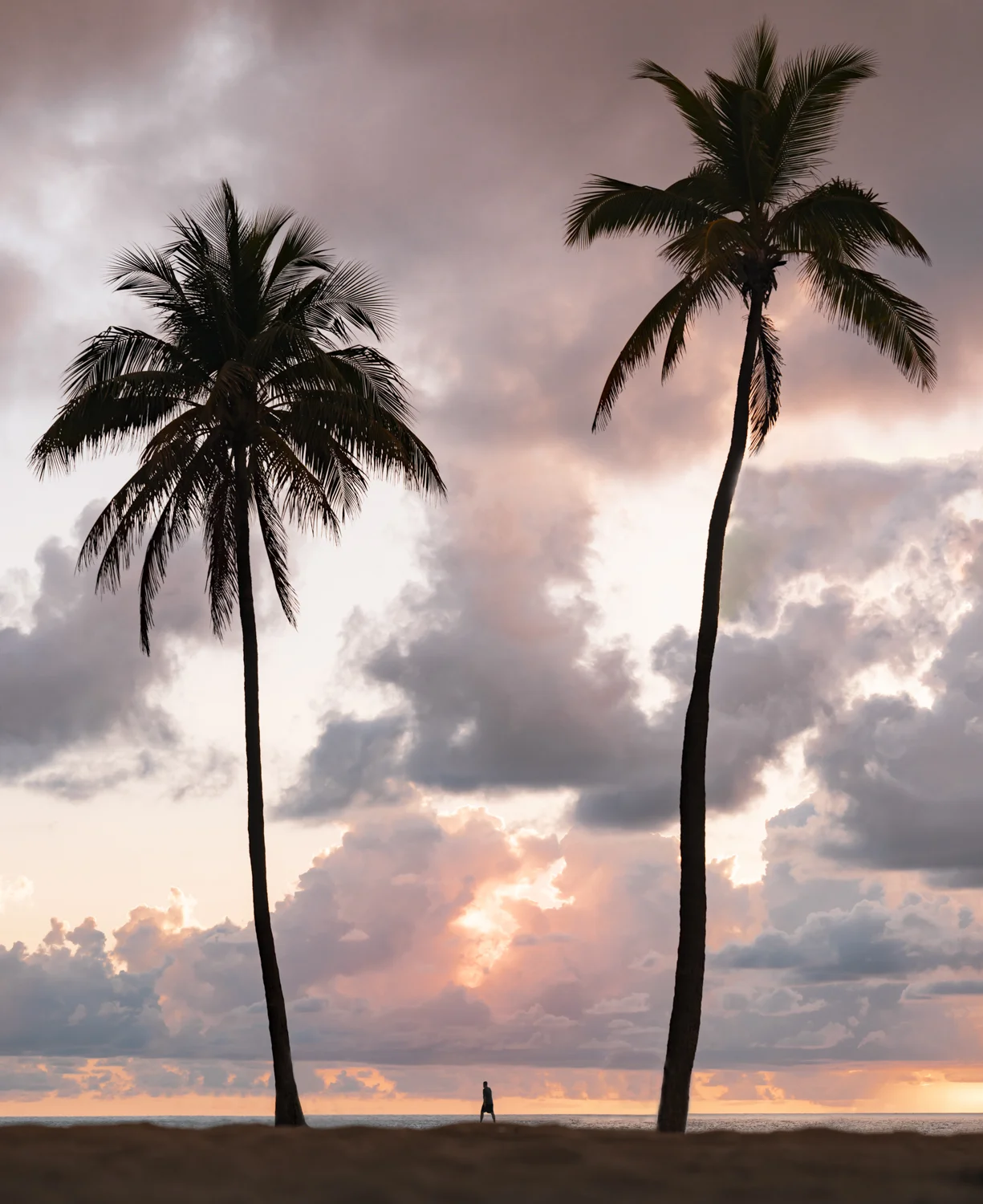 Fort Lauderdale2.jpg