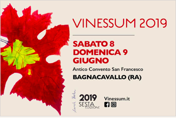 Vinessum
