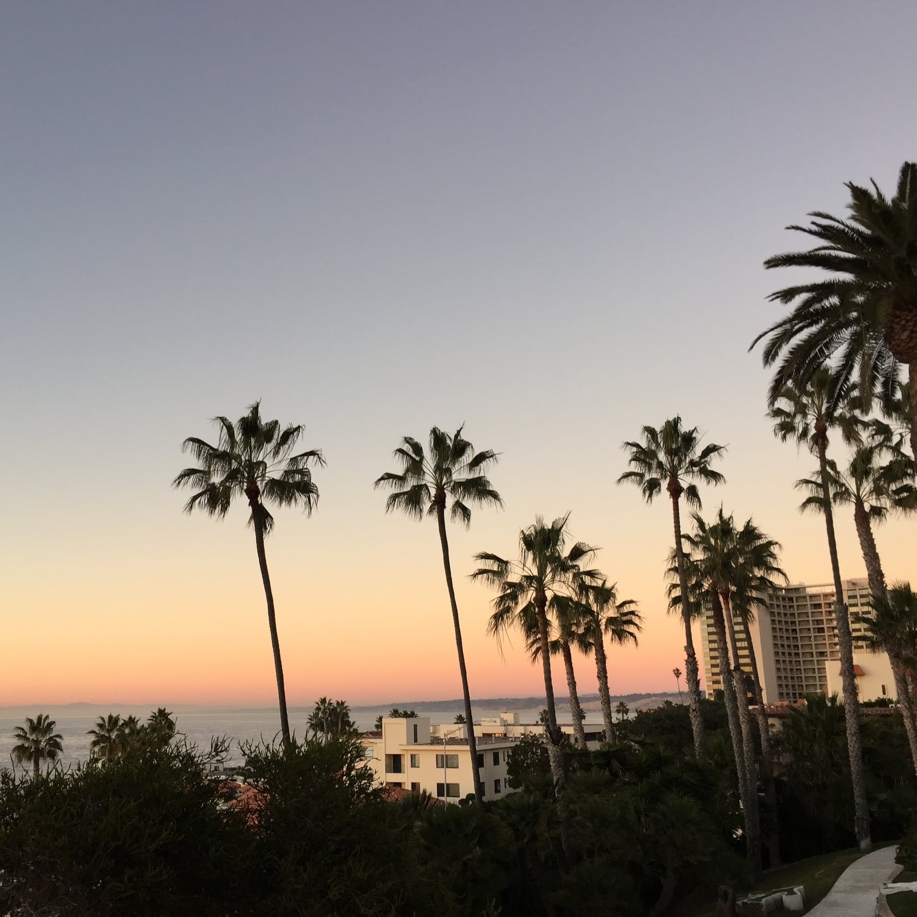 View from MCA San Diego, La Jolla branch