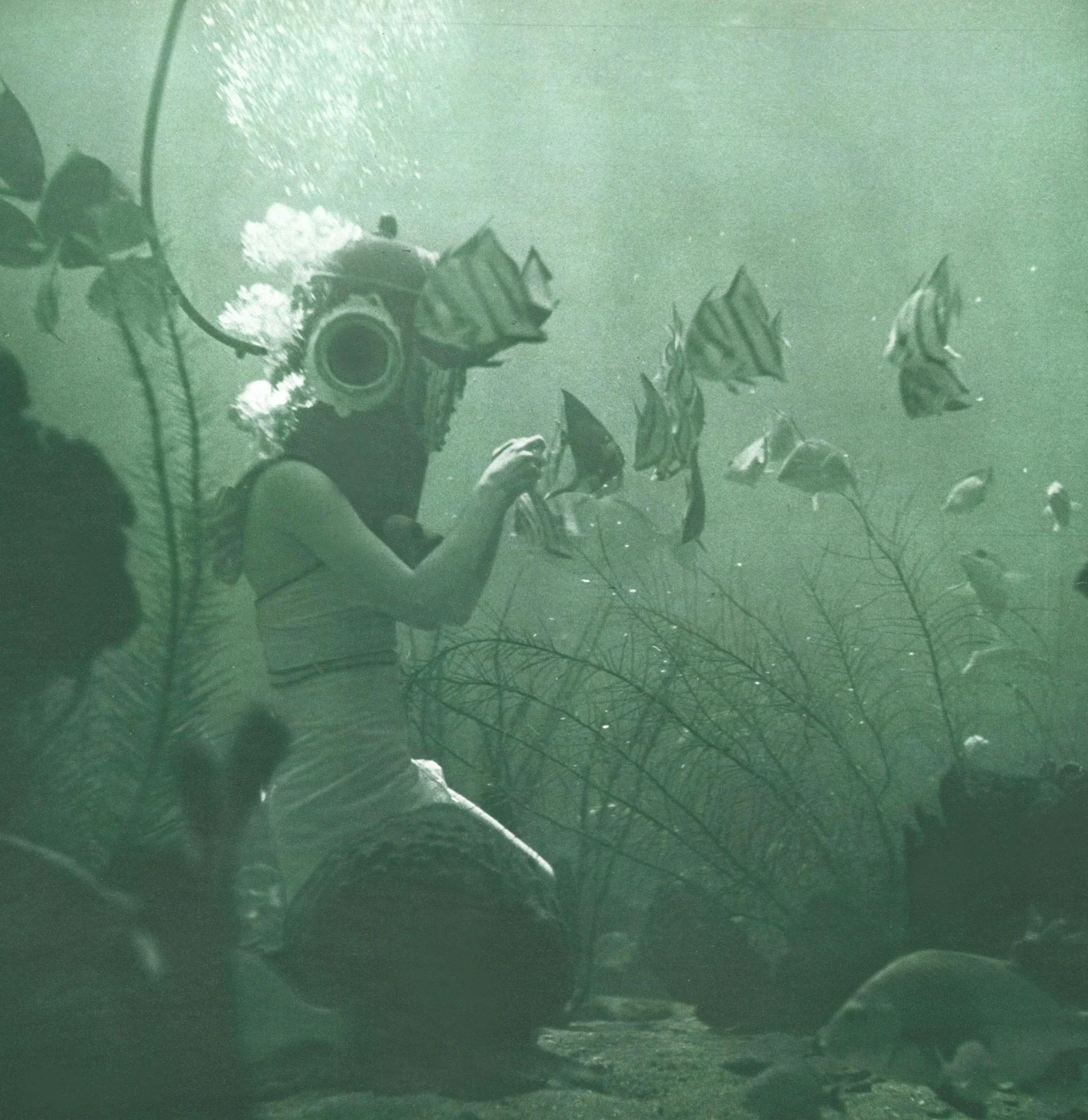 Underwater Fashions in Marineland - Jan 1, 1939