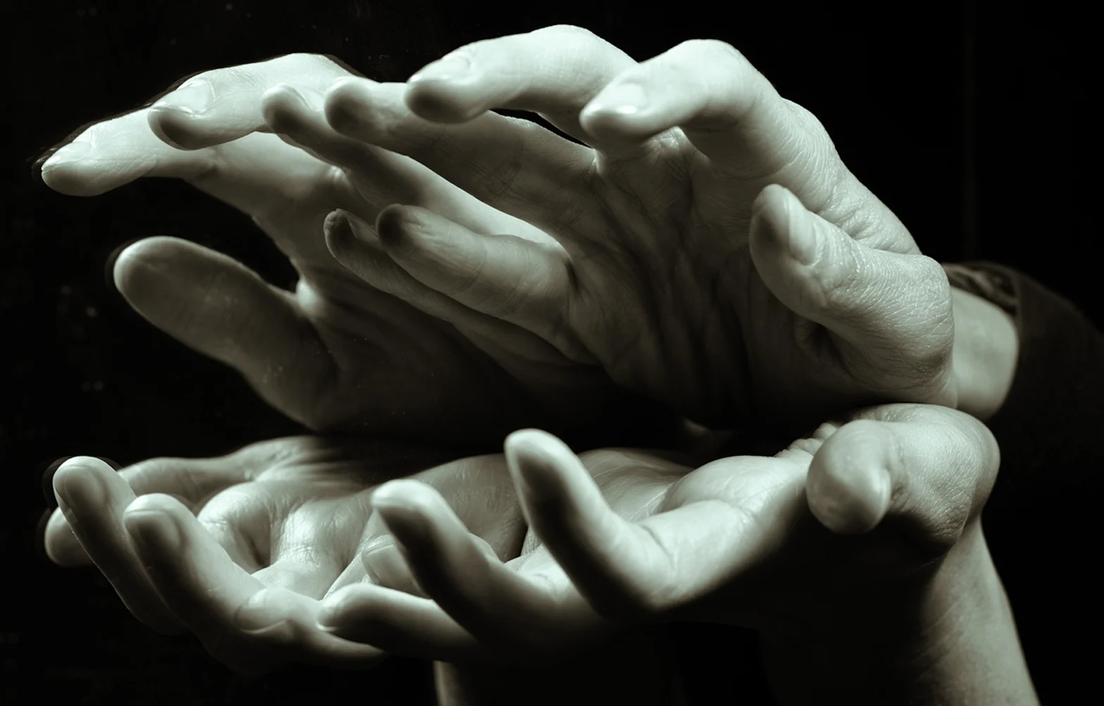 Hands_ Sara Toscano_Alexandre Cabrita.jpg