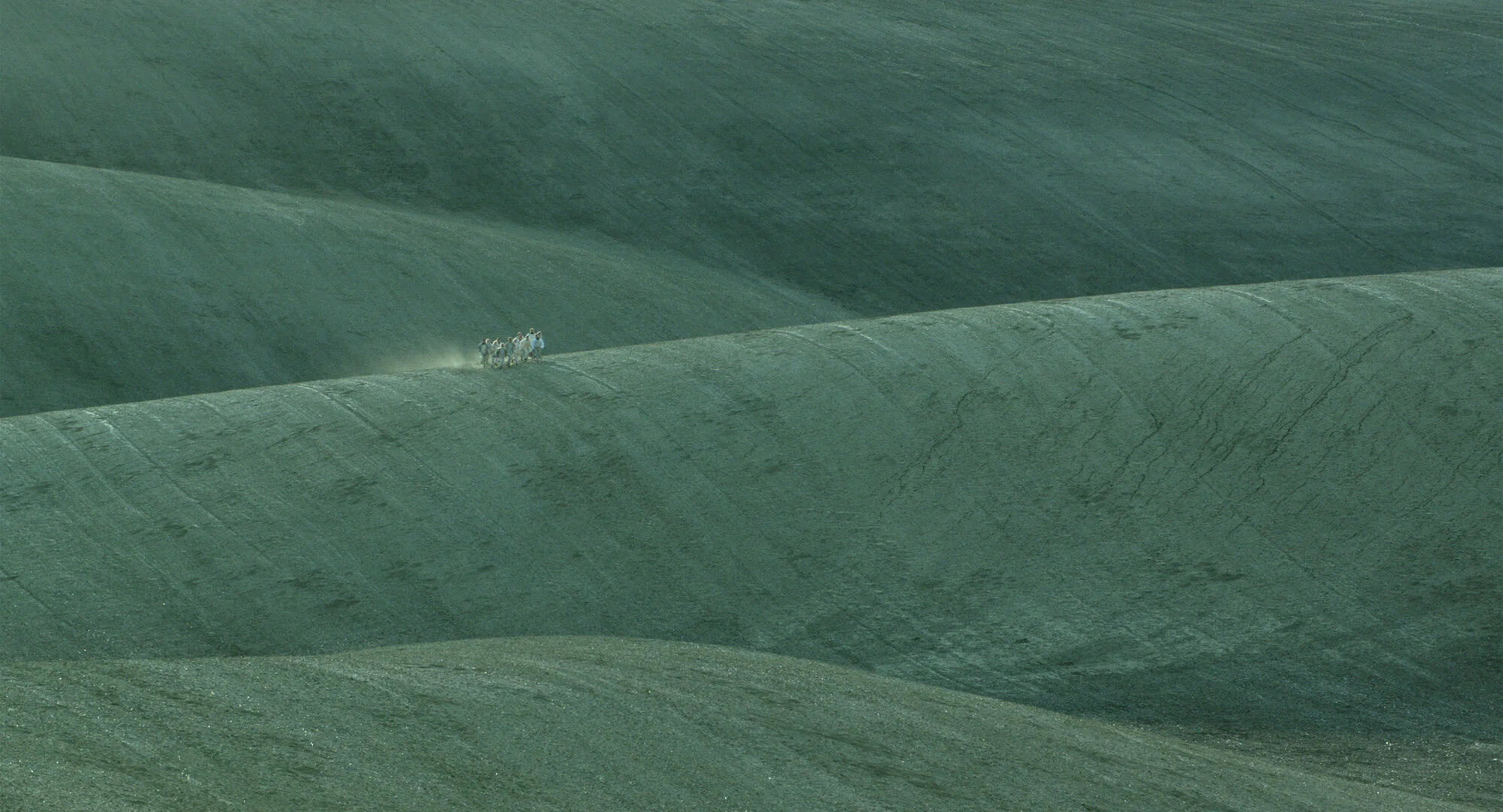 Fibonacci_Still 1.jpeg