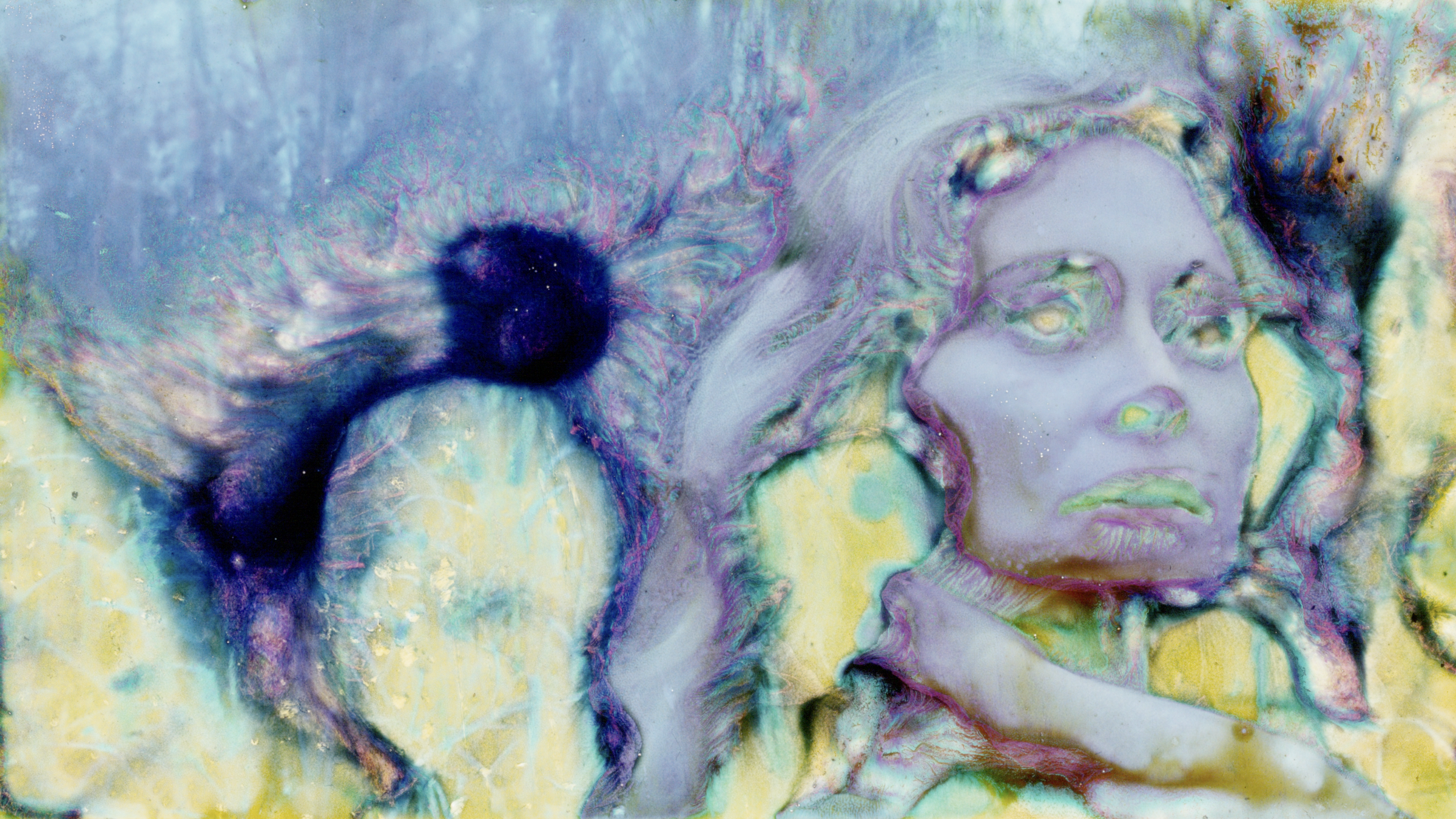 Forward Back_Still 1.png