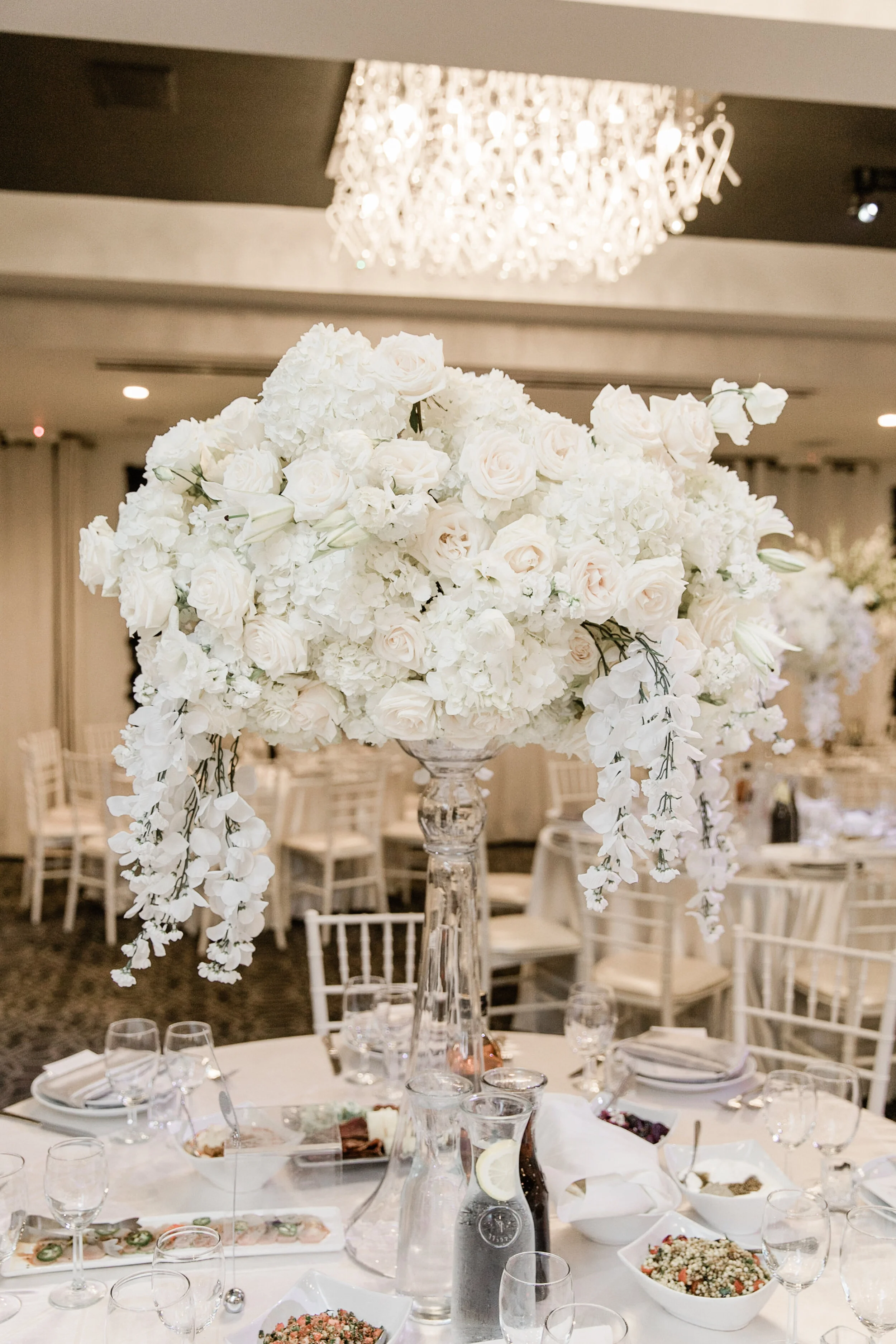 Andrynn & Sevaag's Wedding Edits (2)-0534.jpg