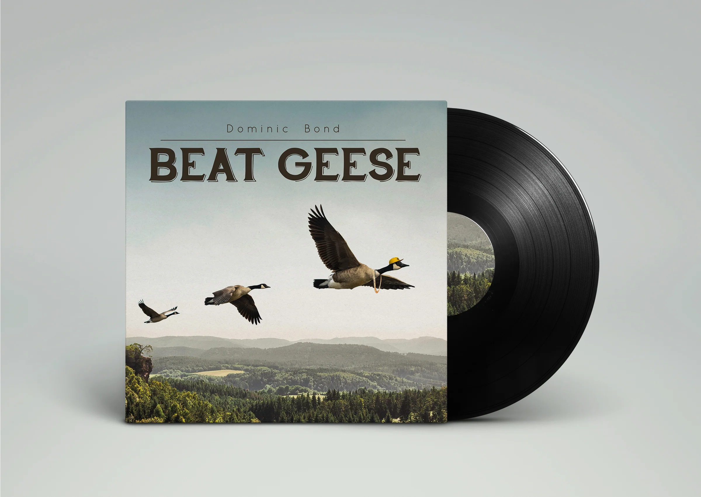 Vinyl Record PSD MockUp.jpg